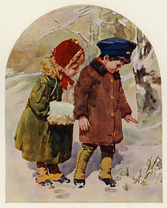 Das erste Schneeglöckchen von English School