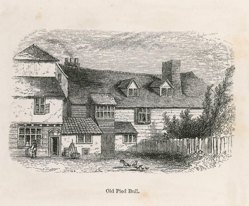 Das alte Pied Bull (Rückseite) von English School