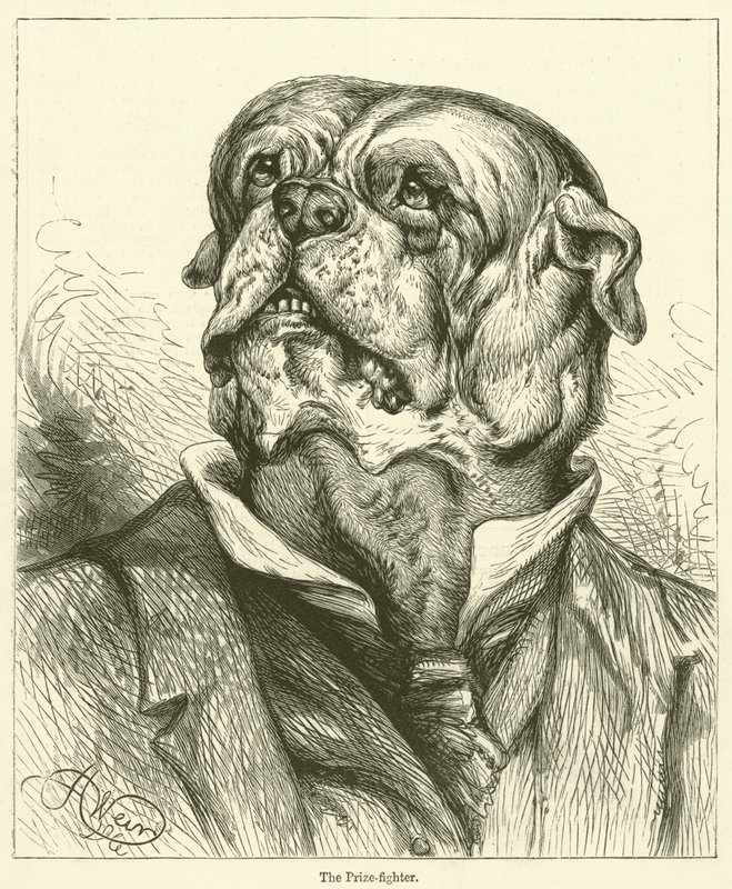 Der Preisboxer (Gravur) von English School