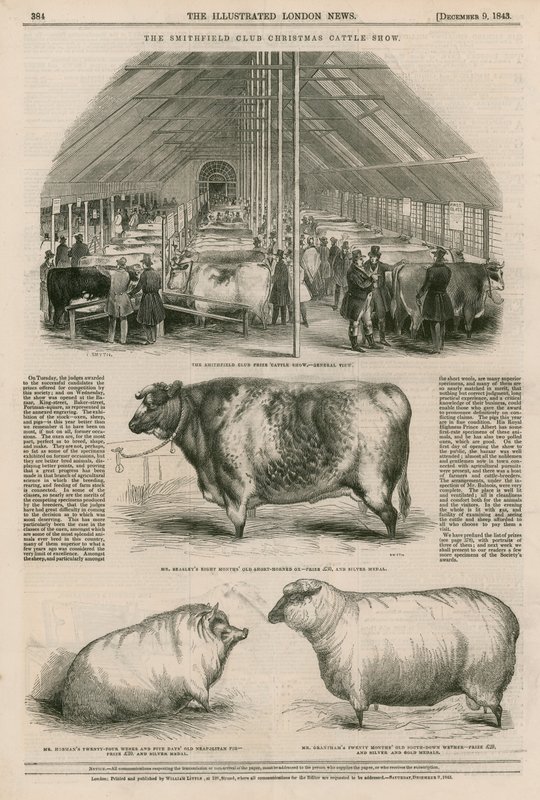 Die Smithfield Club Weihnachtsviehschau von English School