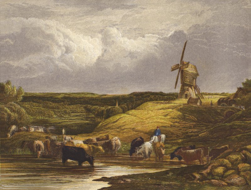 Die Windmühle von English School