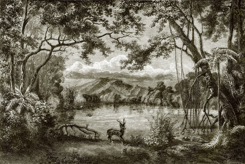 Der verzauberte See auf der philippinischen Insel von English School