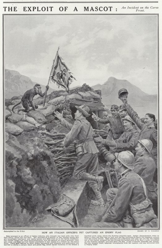 Die Heldentat eines Maskottchens von English School
