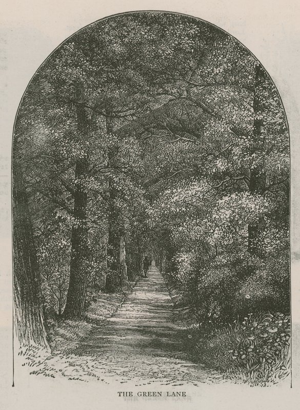Die grüne Gasse, Holland House von English School