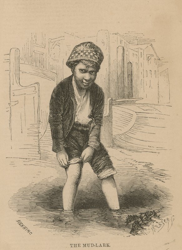 Der Schlamm-Lark von English School
