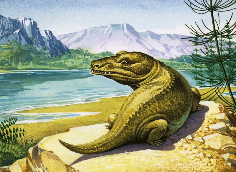 Unidentifizierter krokodilähnlicher Dinosaurier von English School