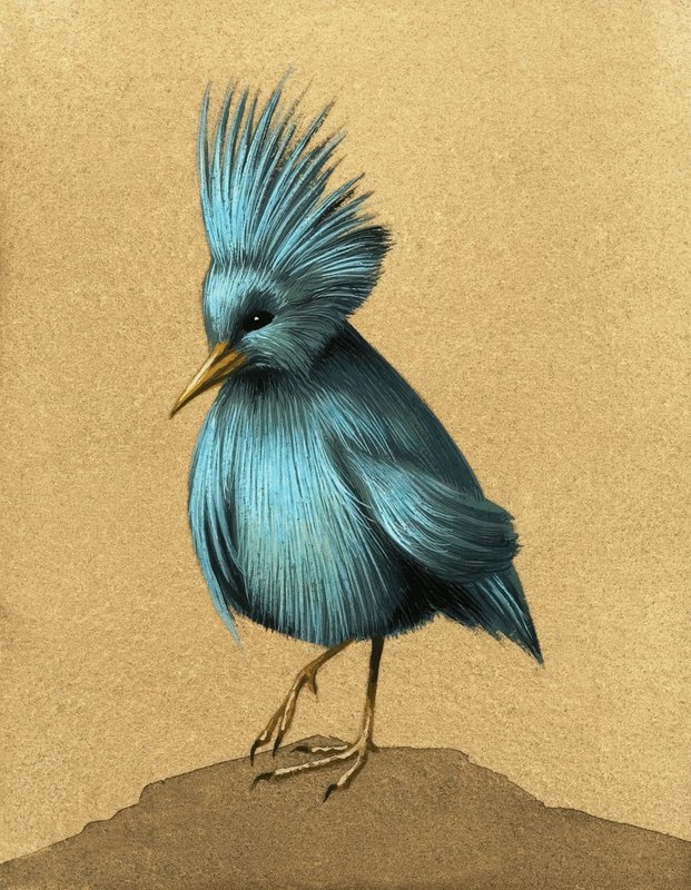 Unidentifizierter flugunfähiger Vogel von English School