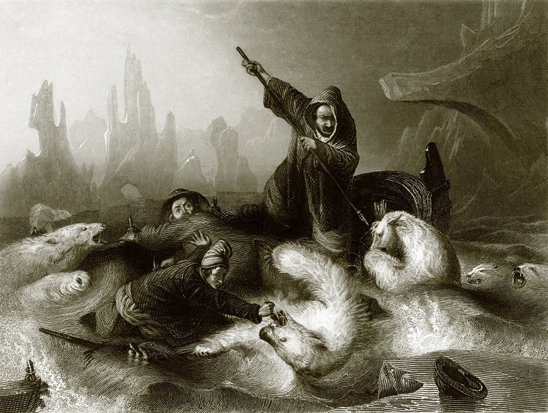 Walfänger von Bären angegriffen von English School