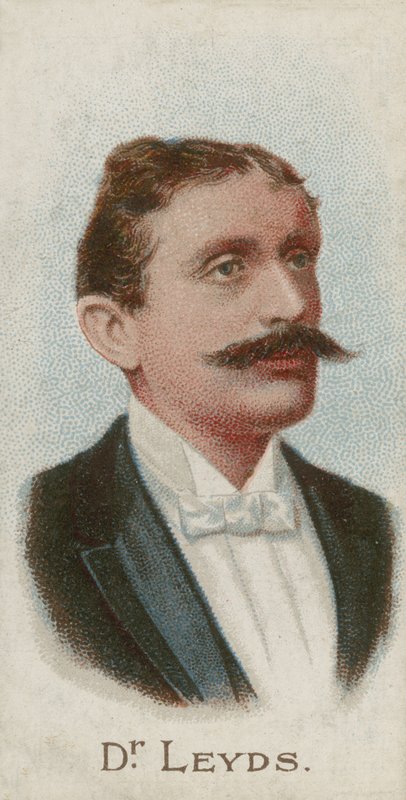 Willem Johannes Leyds, niederländischer Jurist und Staatsmann von English School