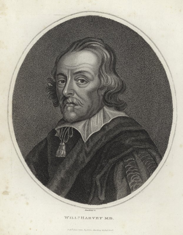 William Harvey von English School