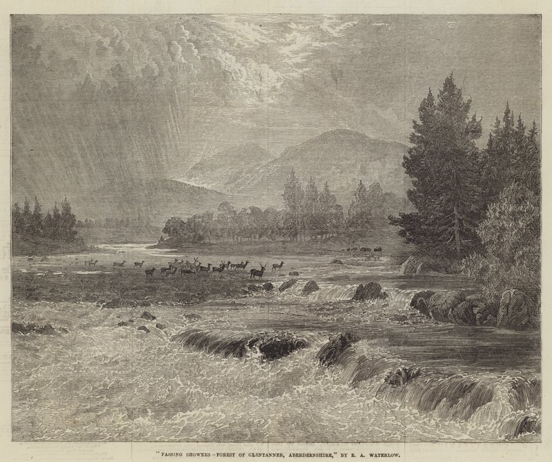 Vorüberziehende Schauer, Wald von Glentanner, Aberdeenshire von Ernest Albert Waterlow