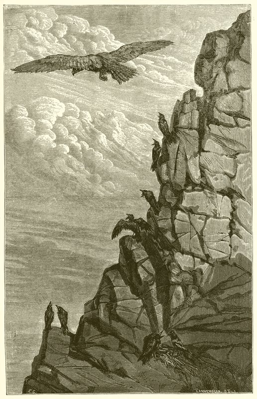 Der Adler und die Krähe von Ernest Henry Griset