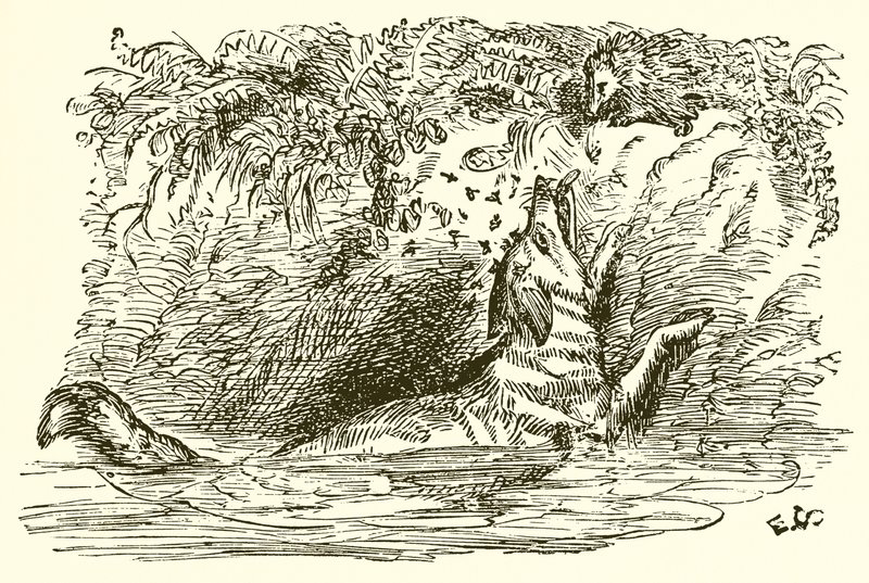 Der Fuchs und der Igel von Ernest Henry Griset