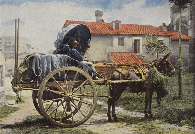Umgebung von Rom, Fuhrmann transportiert Wein von European Photographer