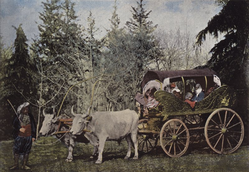 Promenadenwagen der türkischen Damen von European Photographer