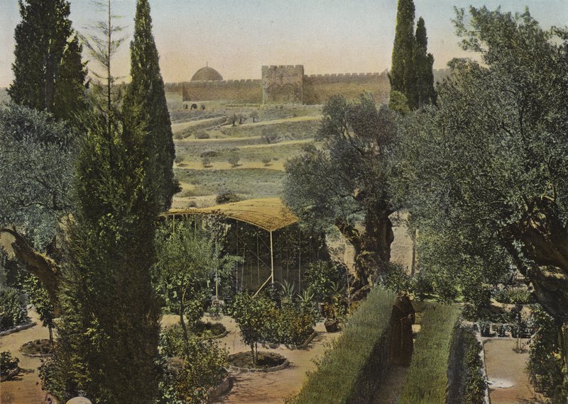 Garten Gethsemane von European Photographer