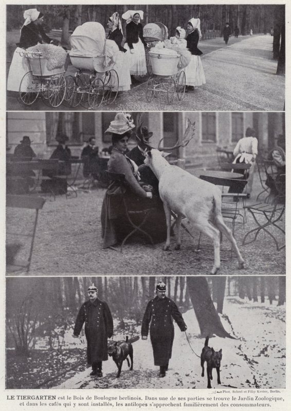 Der Tiergarten von European Photographer
