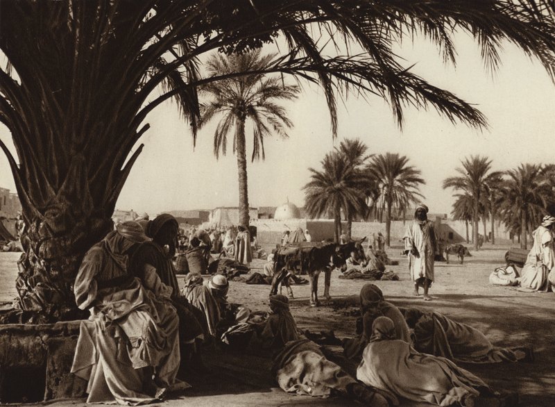 Touggourt-Oase von European Photographer