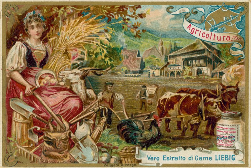 Landwirtschaft von European School