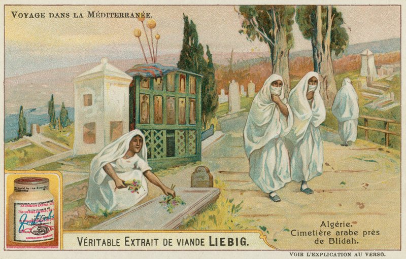 Friedhof in der Nähe von Blida in Algerien von European School