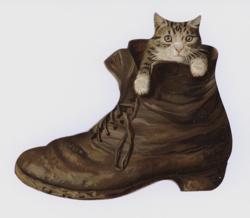 Kätzchen in einem Stiefel von European School