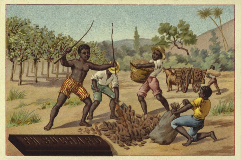 Laden von Kakaoschoten in Säcke, Afrika von European School
