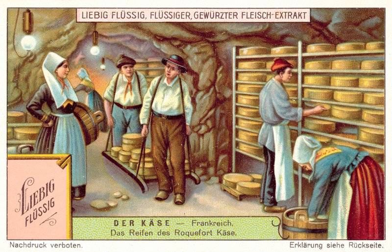 Roquefort-Käse reifen in Frankreich von European School