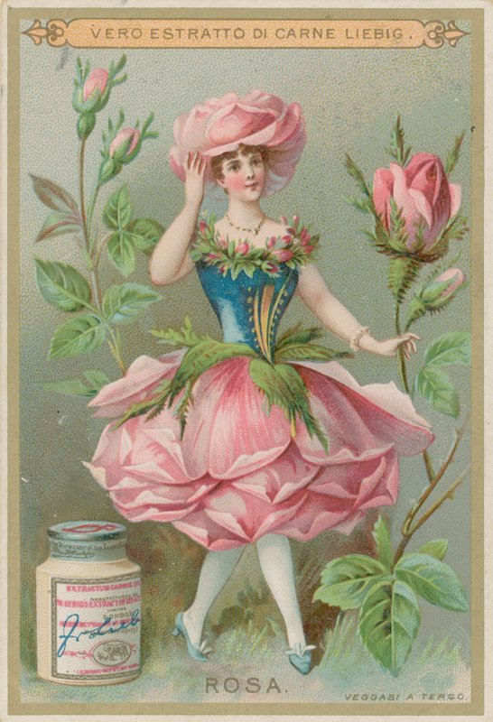 Rosenblumenmädchen von European School
