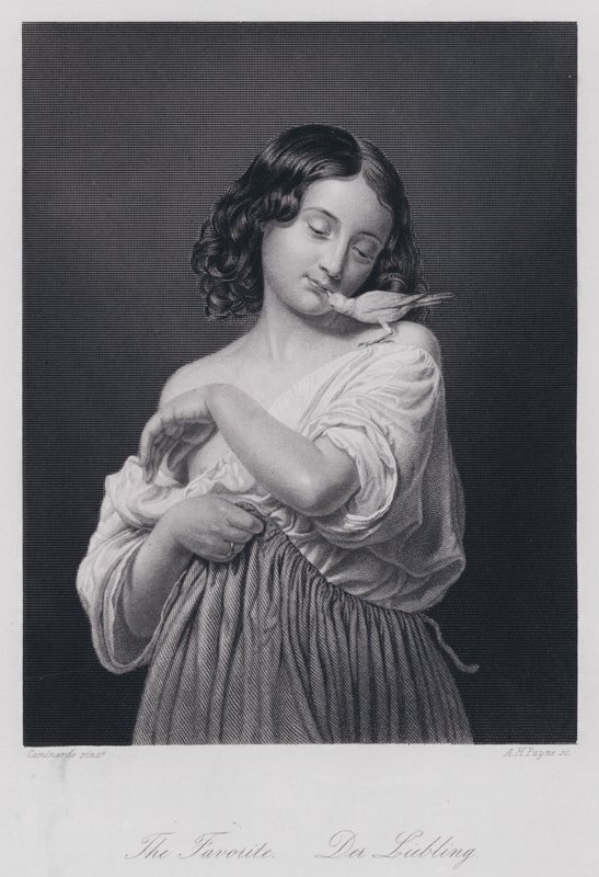 Der Favorit (Stich) von European School