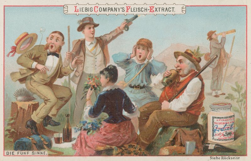 Die fünf Sinne von European School