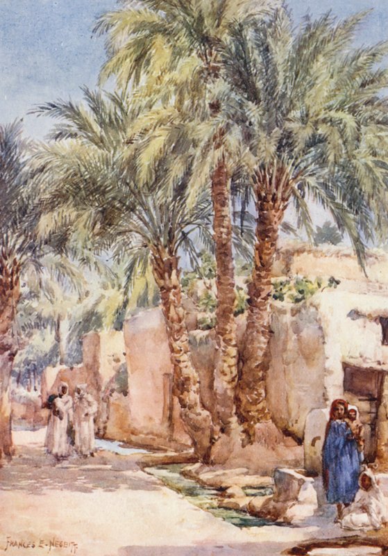 Das Palmdorf von Frances Nesbitt
