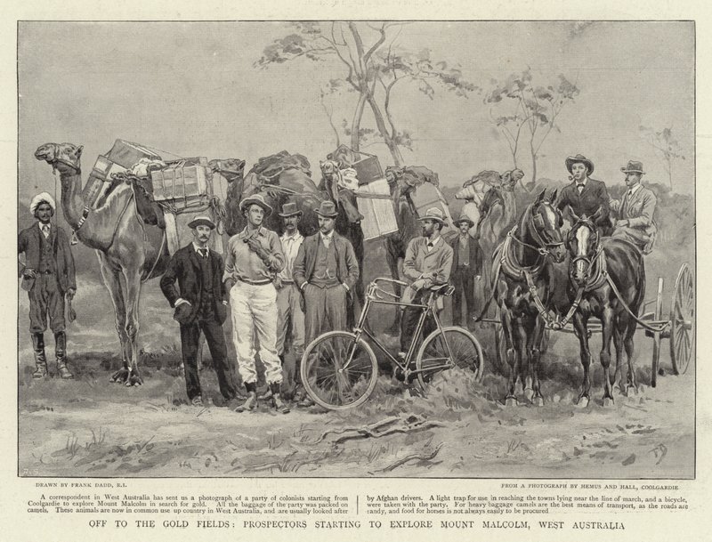 Auf zu den Goldfeldern, Prospektoren beginnen den Mount Malcolm, Westaustralien zu erkunden von Frank Dadd