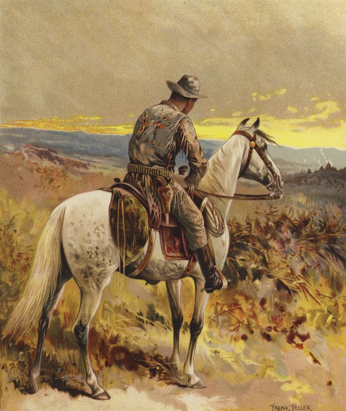 Ein Späher - Nordamerika von Frank Feller