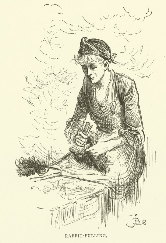 Kaninchenziehen von Frederick L. Bernard