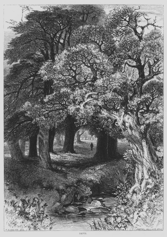 John Milton, Il Penseroso (Stich) von Frederick William Hulme