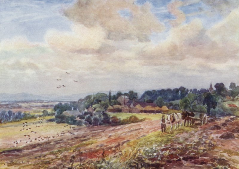 Hungry Grafton von Frederick William Newton Whitehead