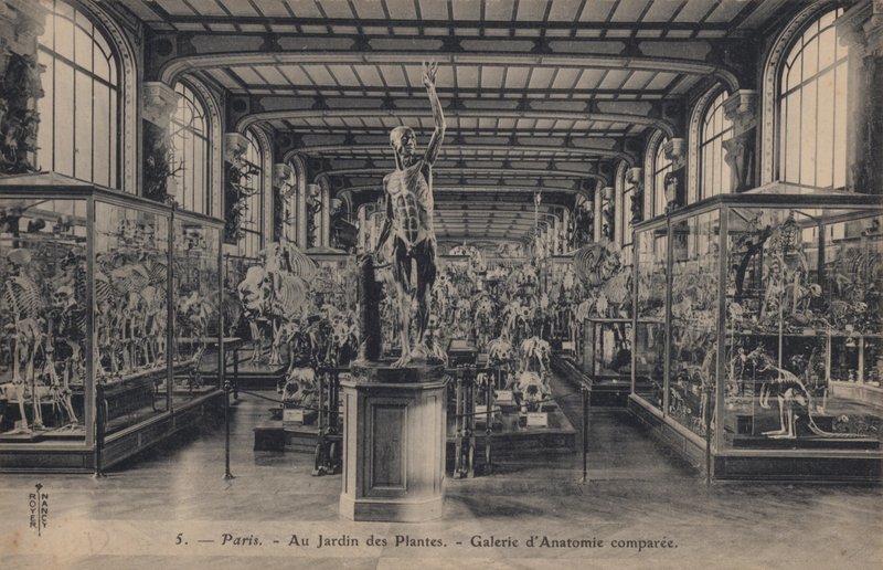 Paris, Jardin des Plantes von French Photographer