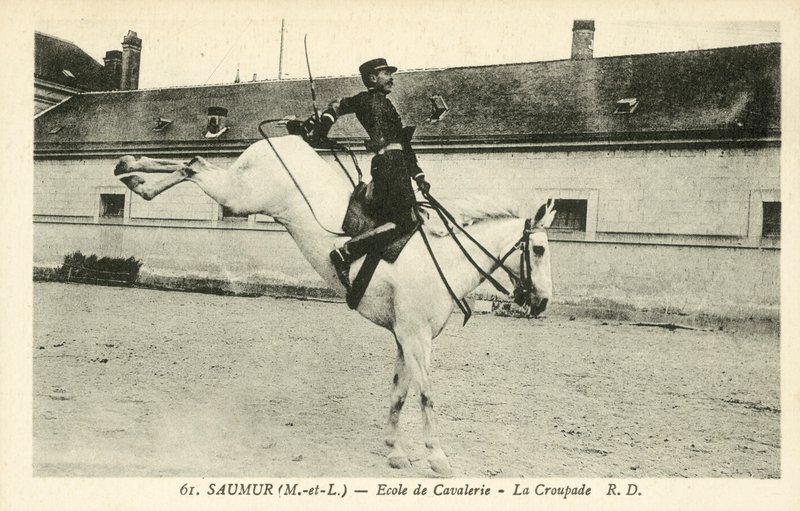 Saumur (Maine-et-Loire), Kavallerieschule, La Croupade von French Photographer