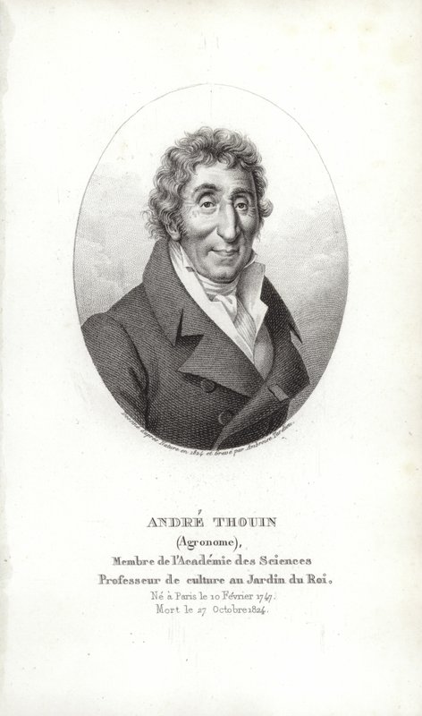 André Thouin von French School