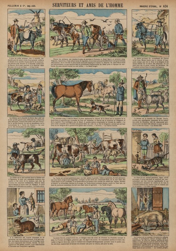 Tiere, die dem Menschen nützlich sind von French School