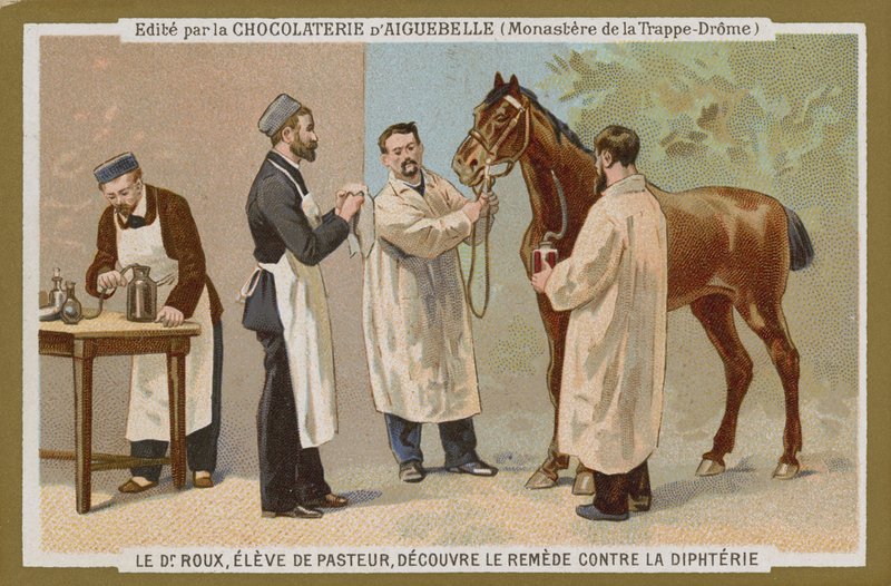 Chocolat d