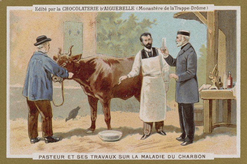 Chocolat d