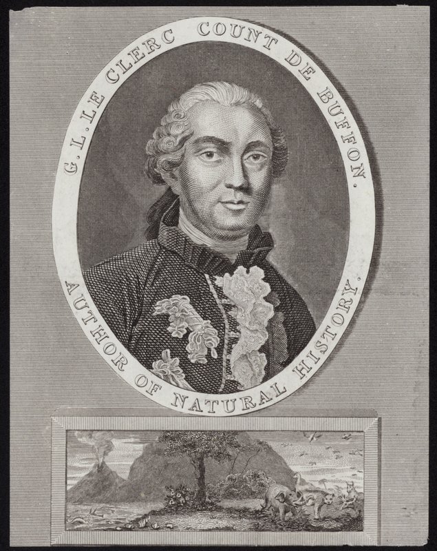 G L Le Clerc von French School
