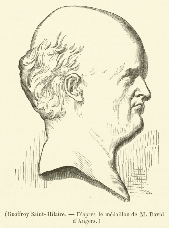 Geoffroy Saint-Hilaire von French School