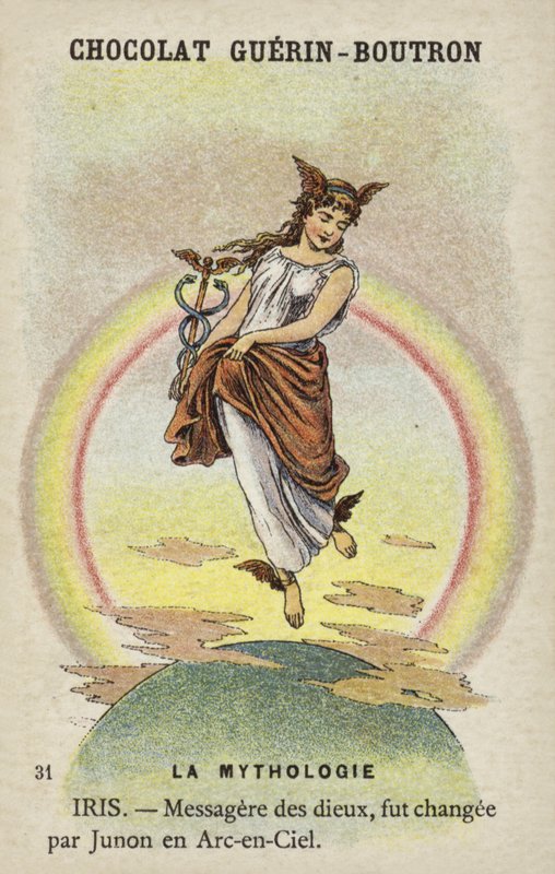 Iris von French School