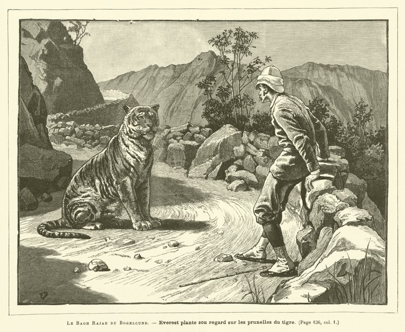 Der Bagh Rajah von Bogelcund (Gravur) von French School