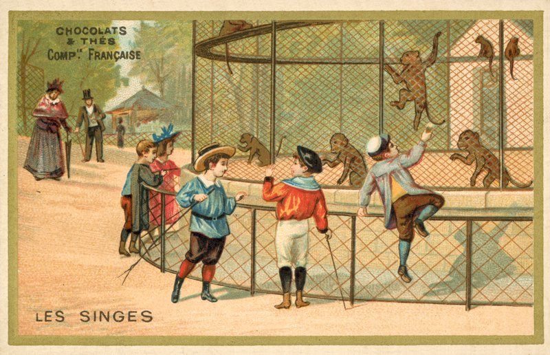 Affen von French School