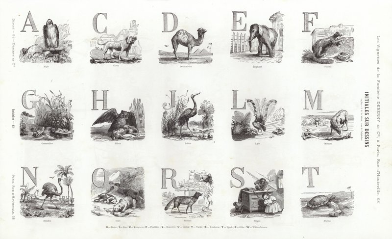 Seite aus Vignettes Typographiques (Gravur) von French School