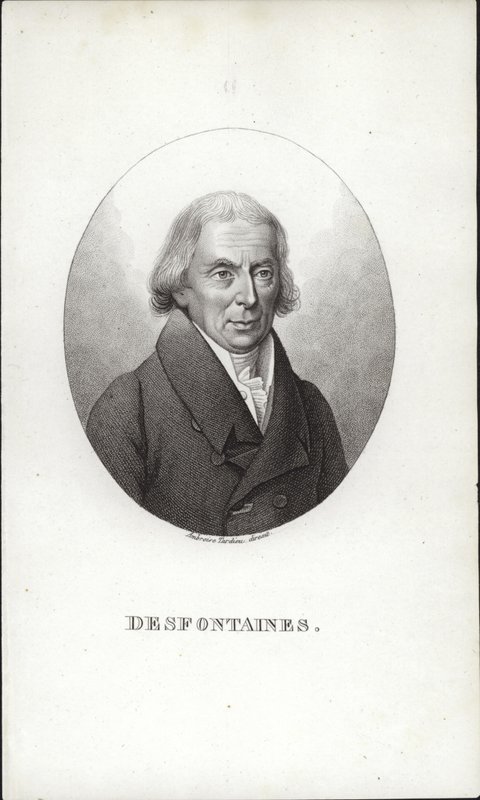 René Louiche Desfontaines von French School