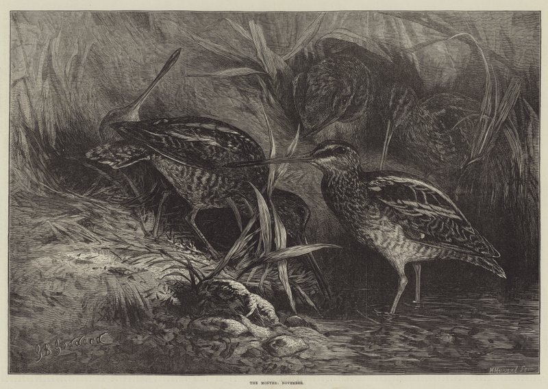 Die Monate, November von George Bouverie Goddard